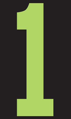 9 ½ inch Windshield Numbers And Symbols - Neon Green/Black - "1"