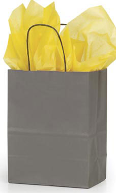 Medium Storm Gray Paper Shopping Bag