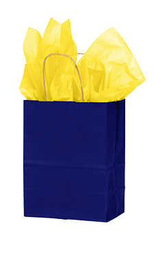 Medium - Navy Paper Shopping Bags - Case of 100 Medium - Navy Paper Shopping Bags - Case of 100