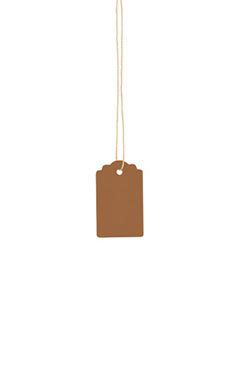 Small Strung Scalloped Khaki Tags
