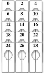 Rectangular Size Dividers for Hangrail - Women's Variety Pack