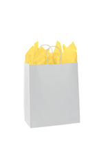 Extra Large - White Kraft Paper Shopping Bags - Case of 250