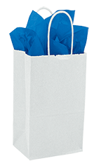 Small - White Kraft Paper Shopping Bags - Case of 250